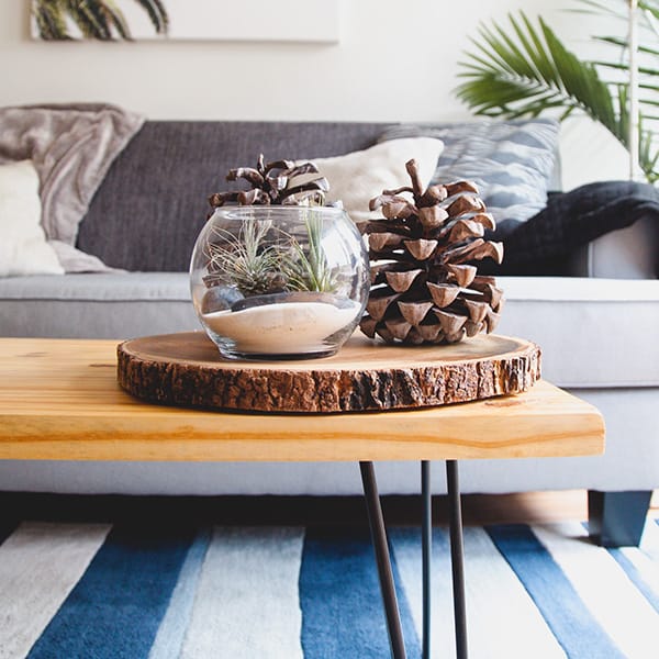 A clean and safe living room